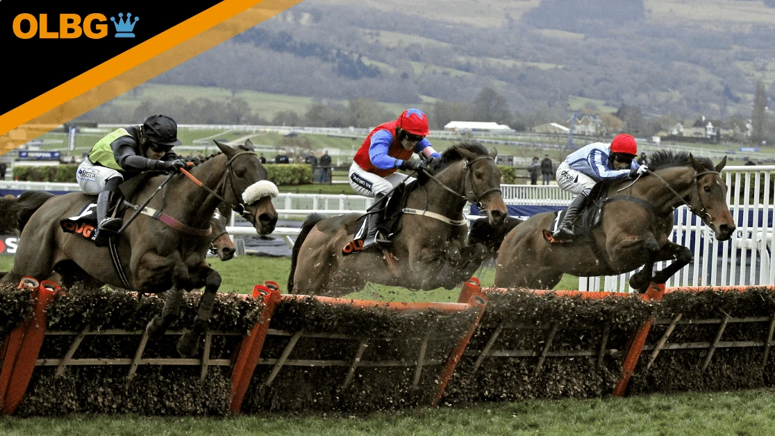 Honeysuckle Mares Novice Hurdle Preview, Tips, Runners & Trends