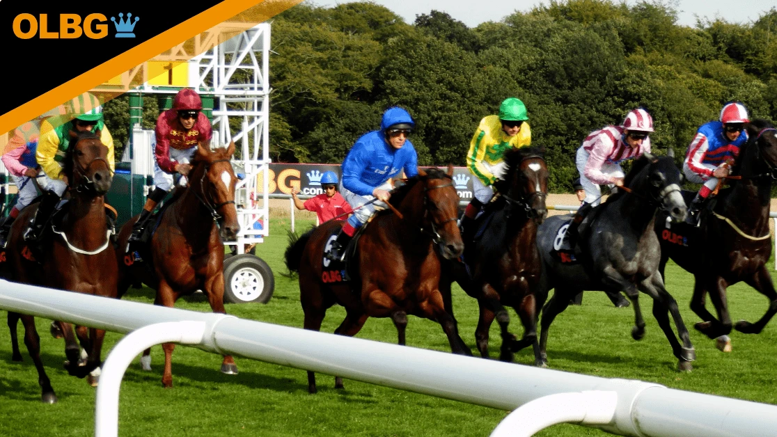 Queen's Cup Preview, Tips, Runners & Trends