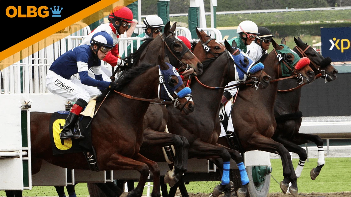 Breeders' Cup Mile Preview, Tips, Runners & Trends