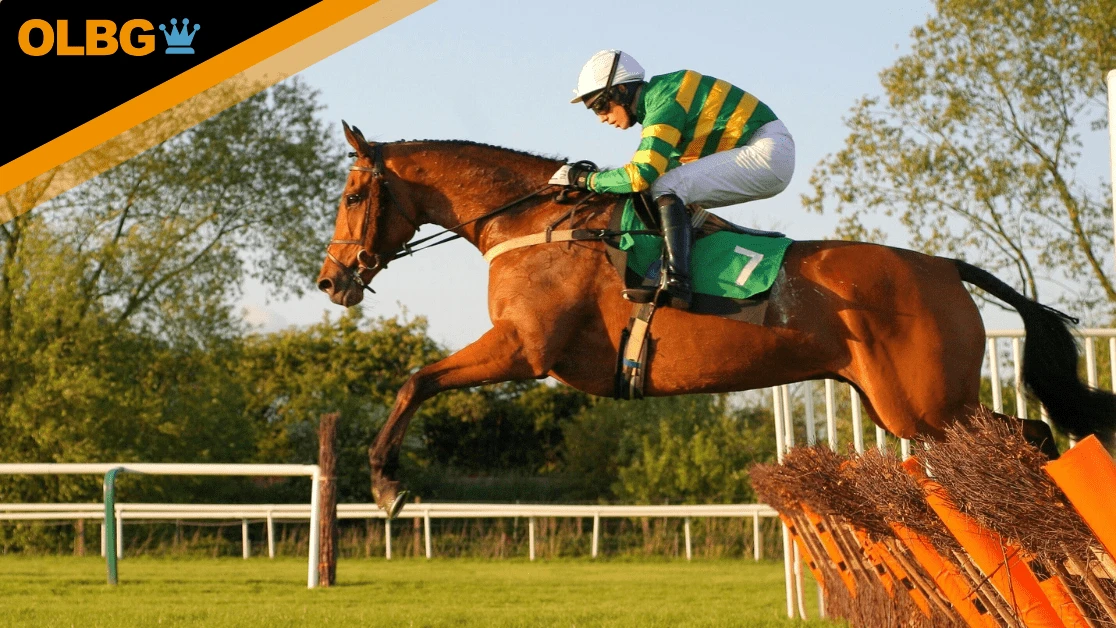 Scottish Stayers Novices' Hurdle Preview, Tips, Runners & Trends (Scottish Cheltenham Trials)
