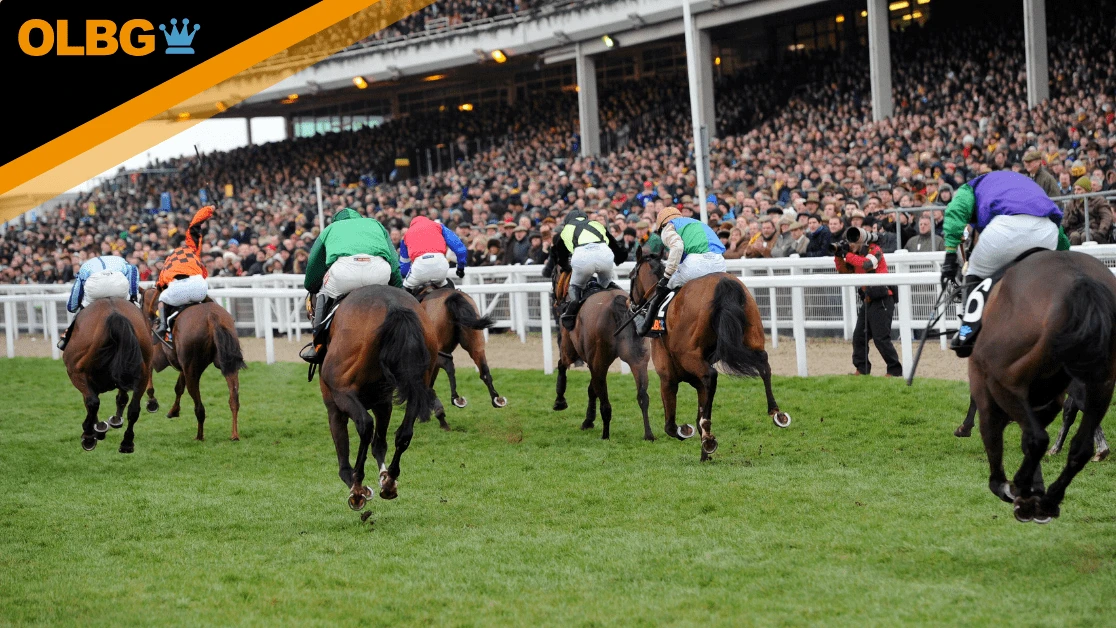 International Hurdle Preview, Tips, Runners & Trends (Festival Trials Day)