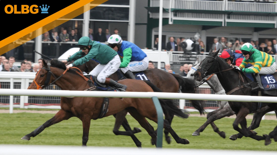 Savills Chase Preview, Tips, Runners & Trends (Christmas Festival)