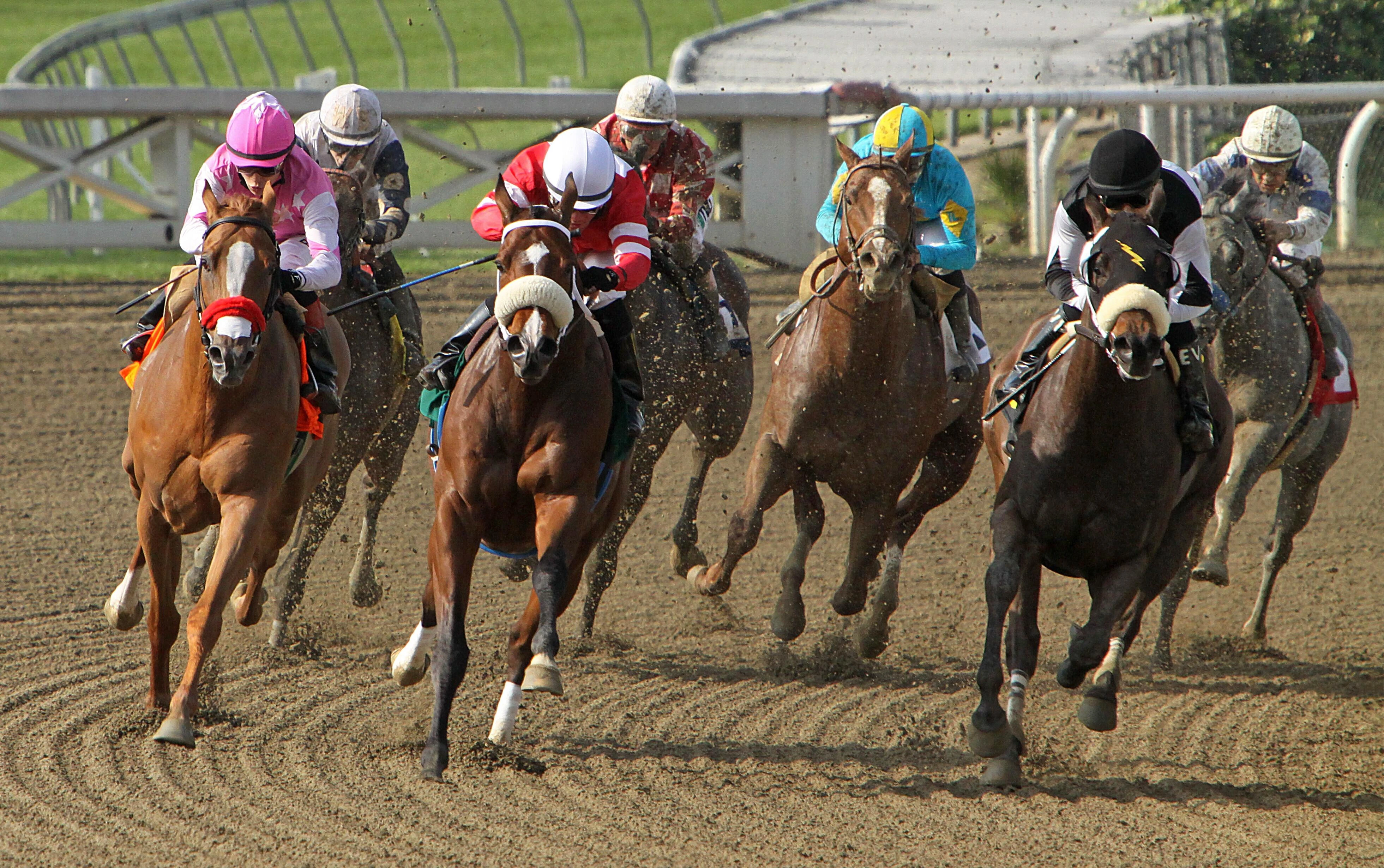 All-Weather Sprint Championships Preview, Tips, Runners & Trends (AWC Finals Day)