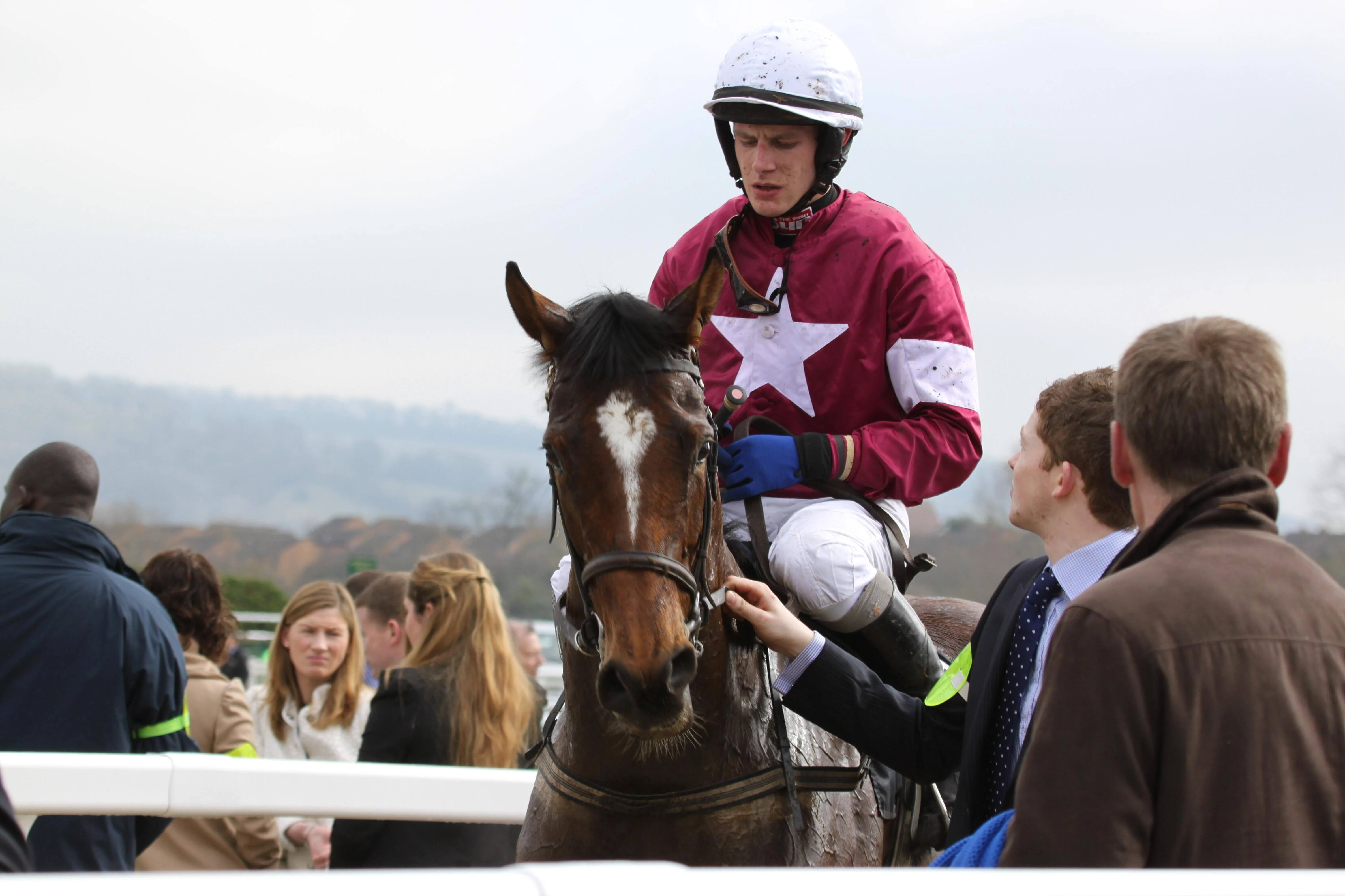 Cheltenham Festival: Who are the Best Jockeys?