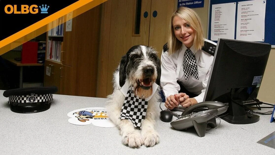 The Bill cast member Ali Bastian, who plays PC Sally Armstrong, takes a break from filming to accompany dog Harry on a special 'Take Your Dog to Work Day' walk around the show's set in Merton, south London.