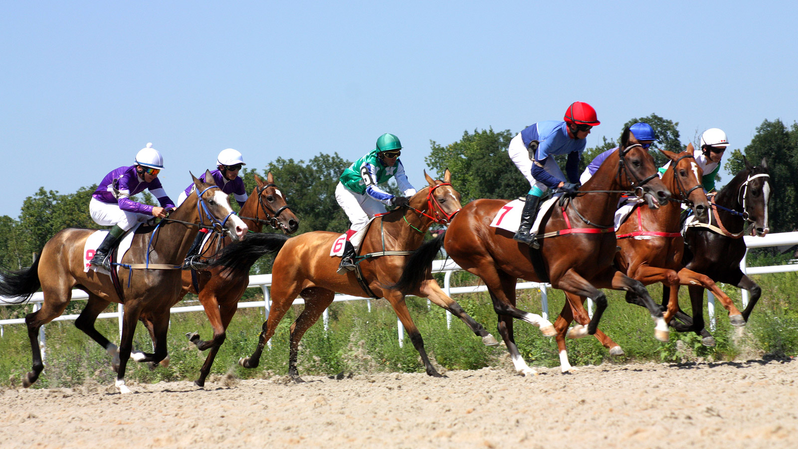 All-Weather Horse Racing Betting: The Ultimate Beginner's Guide
